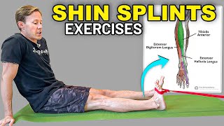 3 Anterior Shin Splints Physical Therapy Exercises [upl. by Natiha306]