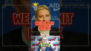 ❌WEIDEL MIT KRITIK❌ politik scholz afd spd cdu merz lindner weidel bundestag csu söder [upl. by Eelhsa302]