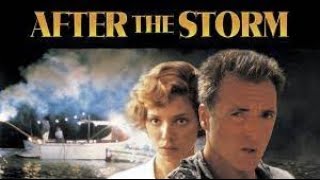 After the Storm Full Movie Fact in Hindi  Review and Story Explained  Benjamin Bratt [upl. by Koral]