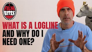 What is a logline and why do I need one [upl. by Demitria]