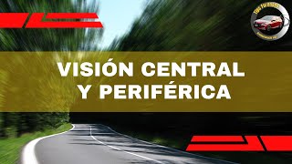 VISIÓN CENTRAL Y PERIFÉRICA [upl. by Fredel14]