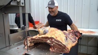 Beef Butchering Process START to FINISH [upl. by Blakelee]