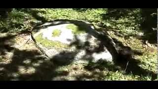 Dan Henskee talks about the stone markers of Oak Island [upl. by Aslam280]