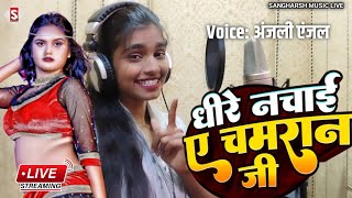 anjalianjal  धीरे नचाई ए चमरान जी  Dhire Nachai A Chamaran Ji  livevideo Chamar Song 2024 [upl. by Rahcir]