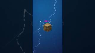 Minecraft Oak Log Edit 🪵 minecraft trending shorts [upl. by Oman]