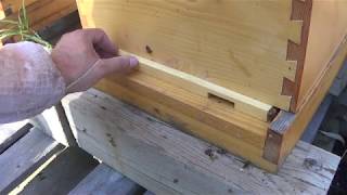 Beekeeping Hive Entrance Reducers How I Useem [upl. by Aili]