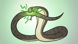 Why Dont Snakes Poison Themselves [upl. by Ahsilra]