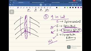 Medullary Syndrome Neurology04 FCPS Part01 Batch Whats App 01878342090 [upl. by Yerrok]