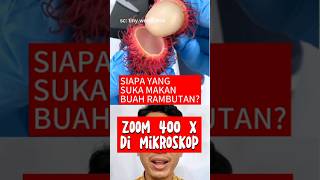 TERNYATA BEGINI RAMBUTAN DI ZOOM 400x DENGAN MIKROSKOP [upl. by Romalda245]