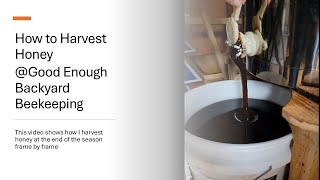 How to harvest late season honey [upl. by Elwood384]