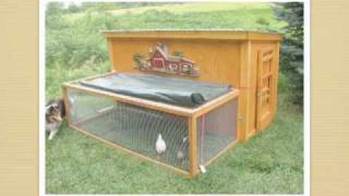 Free Simple Chicken Coop Plans Learn How To Easily Design and Build One Yourself [upl. by Arodnahs]