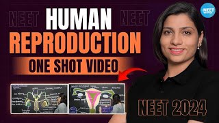 Human Reproduction Class 12 One Shot  All Theory Tricks amp PYQs  NEET 2024 Biology  Ritu Rattewal [upl. by Attelra585]