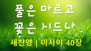 찬양 새로운 CCM   풀은 마르고 꽃은 시드나   작사 편곡 임진  이사야 40장 [upl. by Roe]