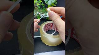 Be sure to remember this trick How can you easily and quickly tear off scotch tape diy tip idea [upl. by Notxap]