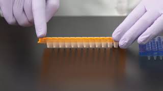 Learn How to Choose a PCR Plate [upl. by Goss50]