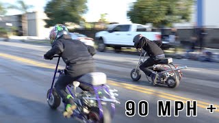 BIGGEST COMPTON MINI BIKE STANDARD BORE TOURNAMENT PT1 [upl. by Duax139]