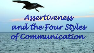 Assertiveness and the Four Communication Styles [upl. by Yrrum786]