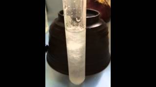 Epsom Salt Crystallization TimeLapse [upl. by Ris304]