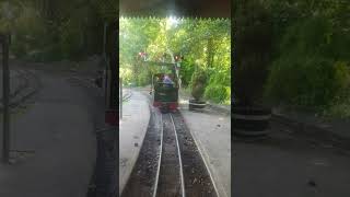 Alice running around her Train at The Bickington Steam Railway Trago Mills [upl. by Siobhan]