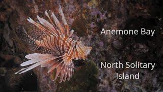 Anemone Bay  North Solitary Island [upl. by Cogen]