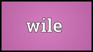 Wile Meaning [upl. by Seen]