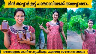 മീൻ അച്ചാർ ഇട്ട് പഞ്ചാബിലേക്ക് അയച്ചാലോ Saranyas beauty vlogs [upl. by Lehcar961]