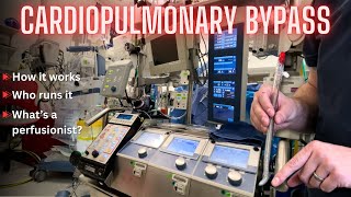 Perfusionist explains the heartlung machine for cardiac surgery [upl. by Enelia574]