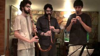 Susato  Crumhorn Trio  Ronde Wo Bistu [upl. by Llimaj]