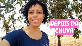 DEPOIS DE TANTO TEMPO CHOVEU🌧 🙌 JÁ DA PRA VER A DIFERENÇA NO AR [upl. by Nahtiek]