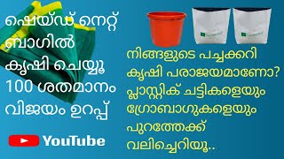 shade net ബാഗിലെ കൃഷി നൂറ് ശതമാനം വിജയം [upl. by Helas]