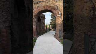 Palatine Hill past the Colosseum shorts [upl. by Demahum160]