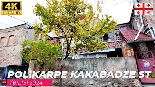 【4K】Virtual Walking Tour in Tbilisi Polikarpe Kakabadze St 2024 [upl. by Wendi378]