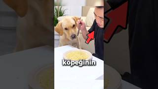 Köpeğine yemek vermeyen adam [upl. by Owades]