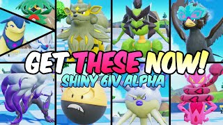 Get ALL Shiny Alpha Hisuian Pokemon NOW in Scarlet Violet [upl. by Sharlene]