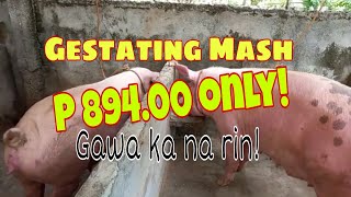 Piggery Tips Paano gumawa ng Gestating Mash para sa mga inahing Baboy [upl. by Longmire]