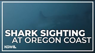 Man comes face to face with great white shark off Oregon Coast [upl. by Hinson666]