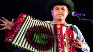 Los Tucanes De Tijuana Mix Corridos En Vivo [upl. by Garibold]