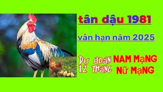 Dự đoán vận hạn tuổi tân dậu 1981 năm 2025 Cho nam mạng và nữ mạng tốt xấu trong 12 tháng [upl. by Bathsheba]