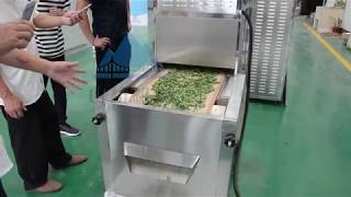 microwave vacuum dryer for drying fresh green leaves [upl. by Morville]