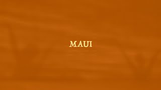 Dzsúdló  MAUI  Csak egy tánc volt [upl. by Ociram568]