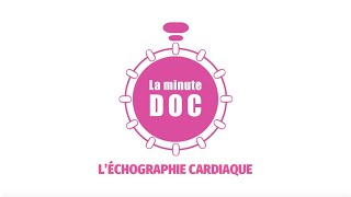 Léchographie cardiaque avec la cardiologue Fanny Perez [upl. by Muhcon]