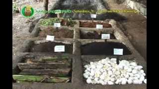 Vermiculture amp Vermicomposting Part 1 [upl. by Marpet430]