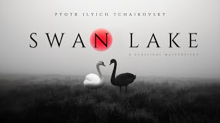 Swan Lake  Tchaikovsky  A Classical Masterpiece [upl. by Olethea]