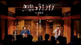 Tsugaru Shamisen and Violin  Improvisation of Folk Songs  Keisuke Ota amp Uma Ebina  Highlights [upl. by Hamburger]