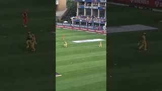 Dhoni Entry in Stadium  Back in 2022 April CSK vs SRH  msdhoni csk dhoni shorts shortvideo [upl. by Adaran397]