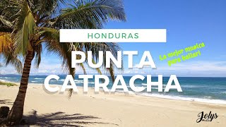 MUSICA PUNTA HONDURAS  🥳 MÚSICA PUNTA CATRACHA PARA BAILAR [upl. by Clive]