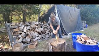 Trying to selling mini firewood [upl. by Judsen972]