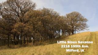 Northwest Iowas beautiful oak savanna [upl. by Clover73]