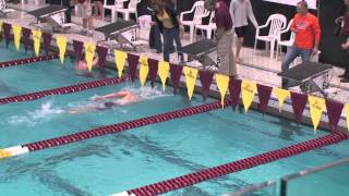 2014 Calvin College MIAA Swimming amp Diving Championships Recap [upl. by Rinum]