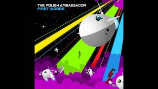 The Polish Ambassador  Kill the World at Night [upl. by Malkah407]